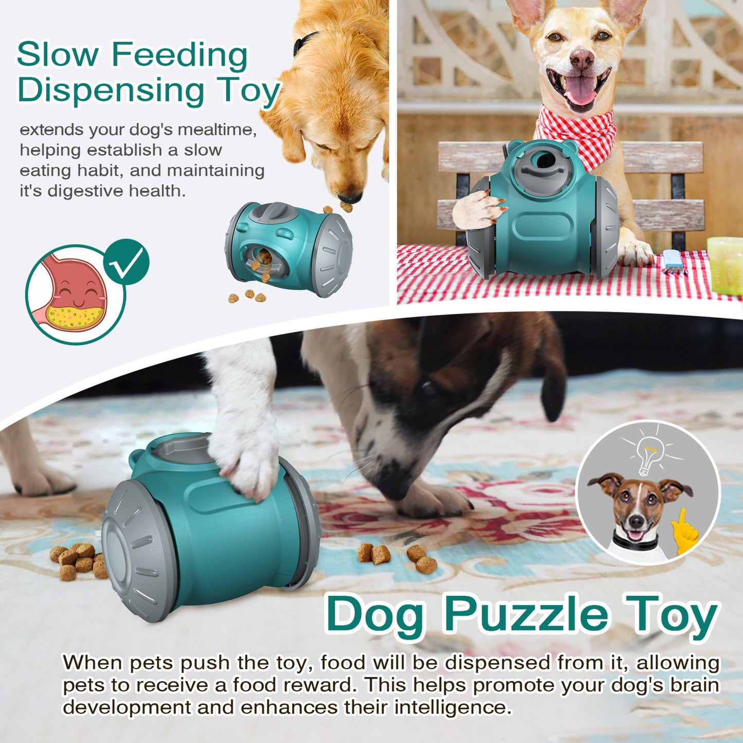 🐶 Interactive Pet Treat Dispenser Toy 🐱